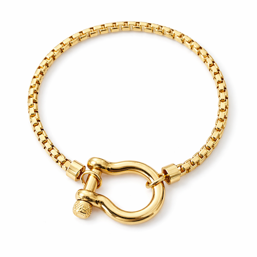 Women's Chain Bracelet with Statement Clasp