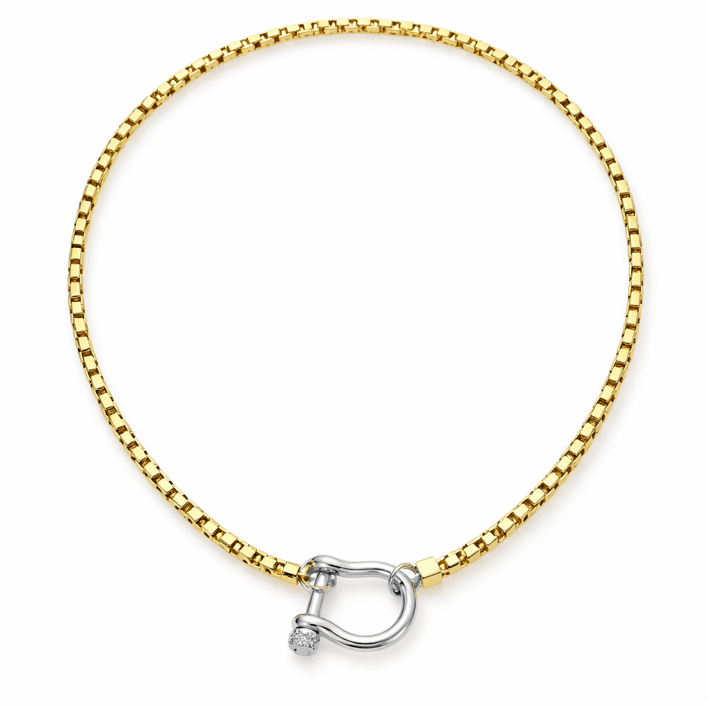 Women's Chain Necklace with Horseshoe Clasp