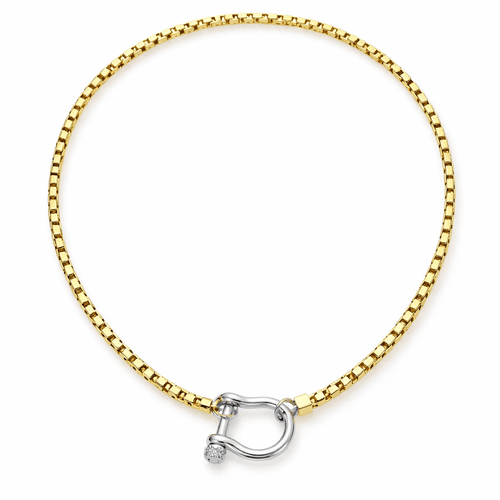 Women's Chain Necklace with Horseshoe Clasp