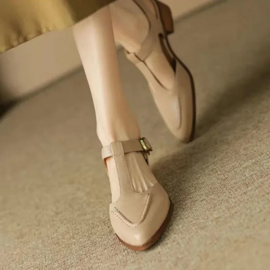 Women’s T-Strap Pointed Toe Flats with Vintage Buckle and Low Block Heel