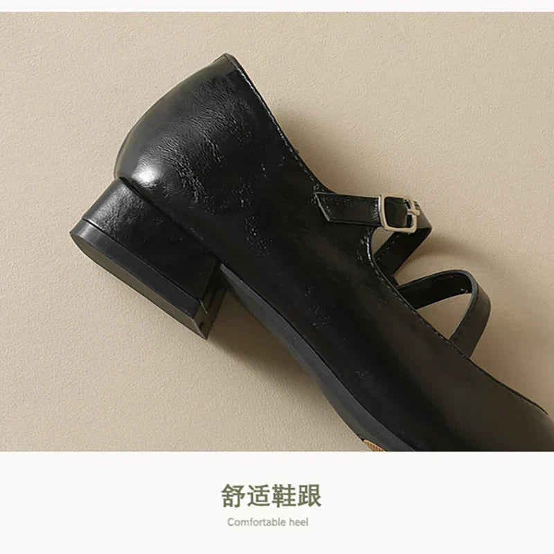 Women's Mary Jane Heeled Shoes Ankle Strap Block Heel