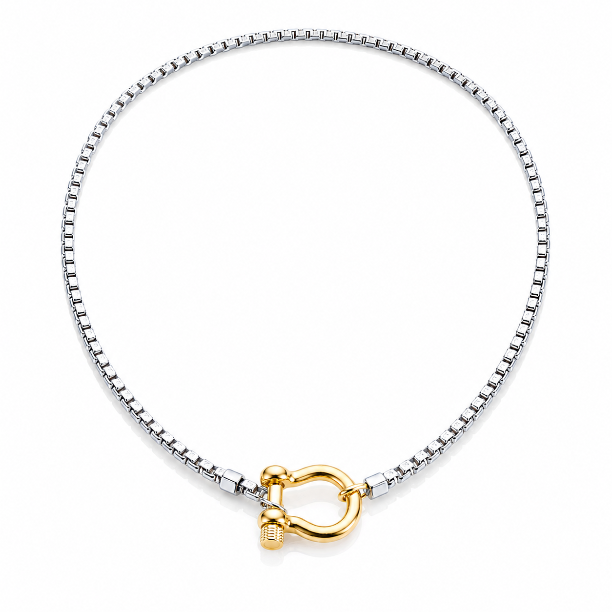 Women's Chain Necklace with Horseshoe Clasp