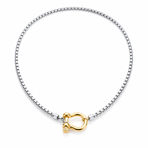 Women's Chain Necklace with Horseshoe Clasp