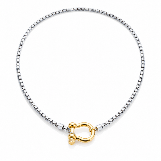 Women's Chain Necklace with Horseshoe Clasp